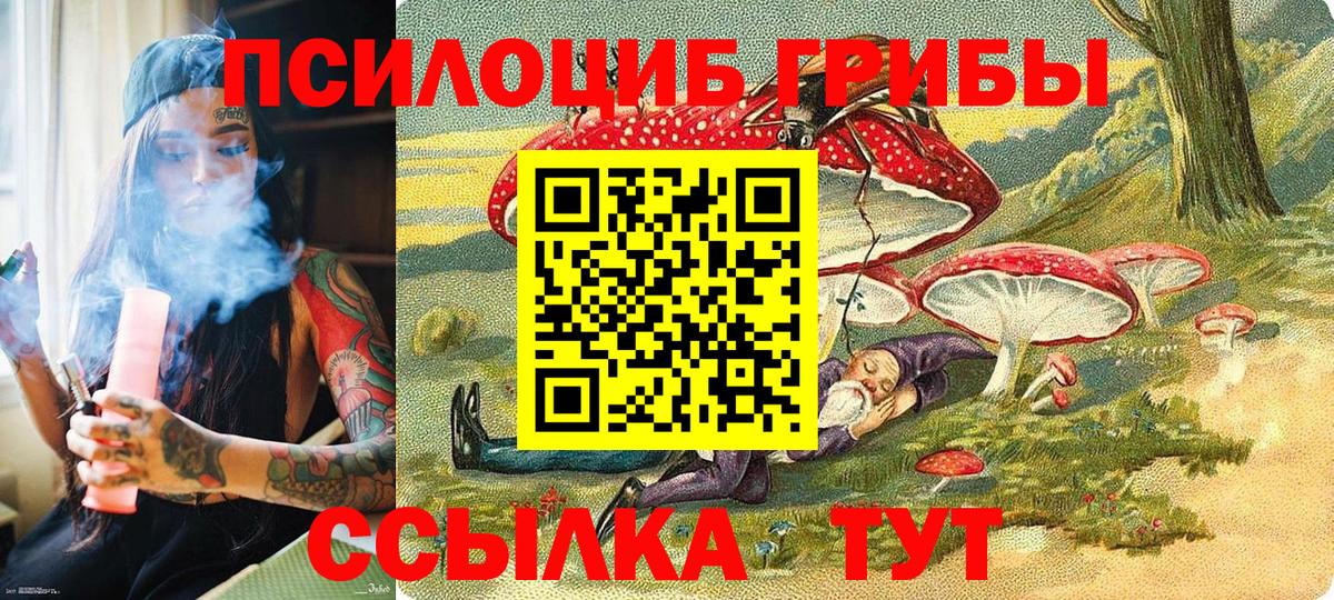 продажа наркотиков  Вход с VPN  Избербаш  Галлюциногенные грибы MAGIC MUSHROOMS 