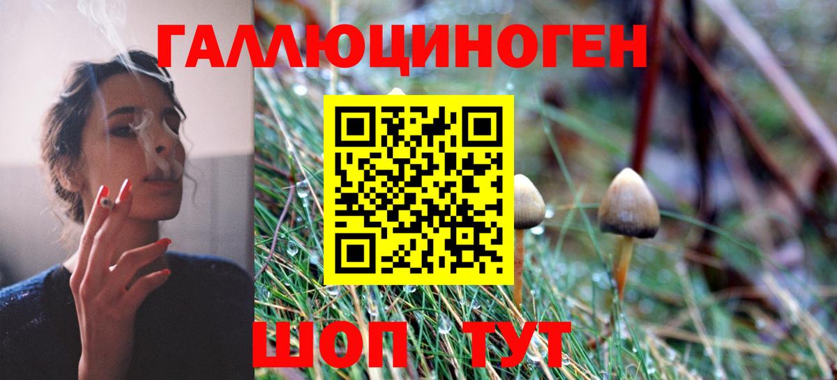 Галлюциногенные грибы GOLDEN TEACHER Избербаш